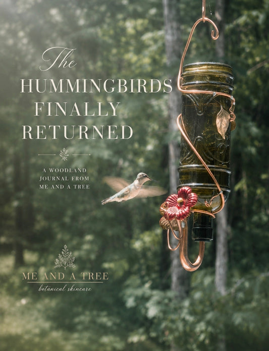 Elegant woodland hummingbird hovering beside a handcrafted copper feeder in a sunlit forest, features in a botanical skincare journal cover for Me and a Tree